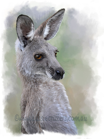 Kangaroo_Painting_S_Tro